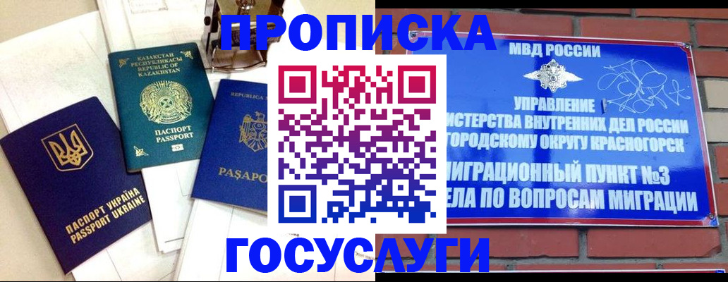 купить прописку в Вельске